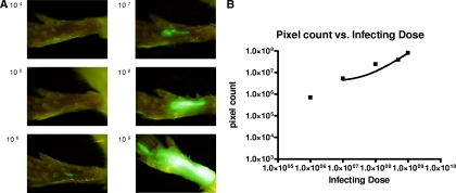 FIG. 4.