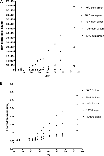 FIG. 2.