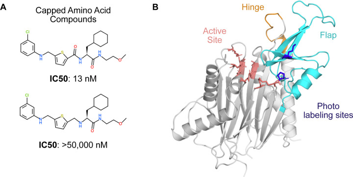 Figure 1: