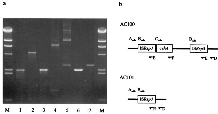 FIG. 6.