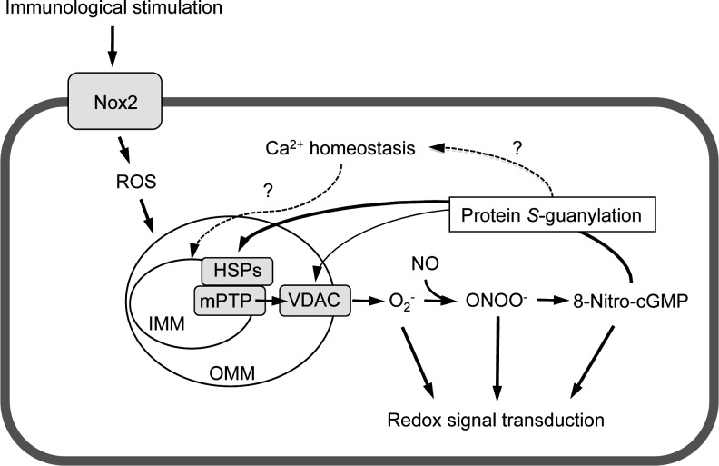 FIG. 10.