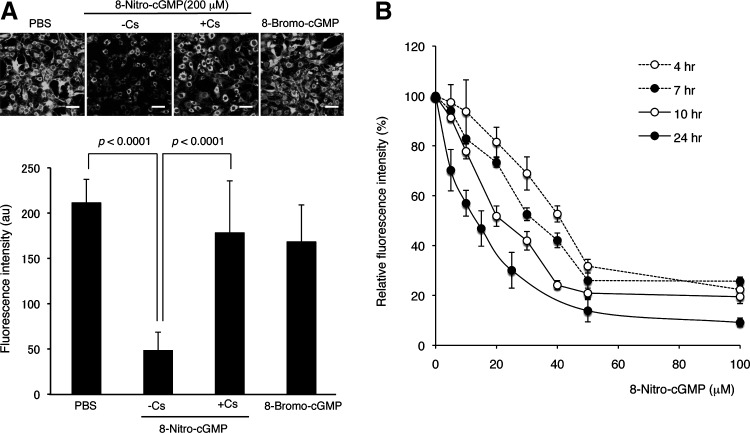 FIG. 9.