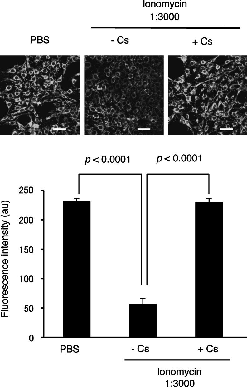 FIG. 7.