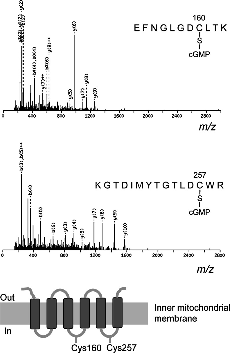 FIG. 3.