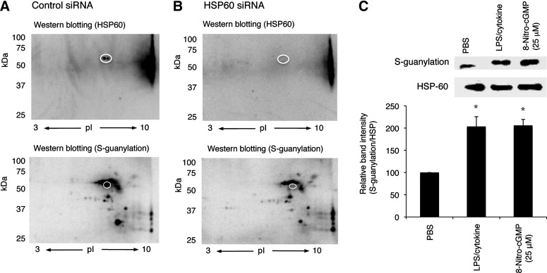 FIG. 6.