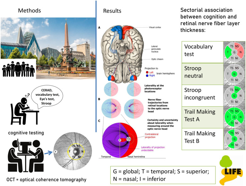 Graphical Abstract