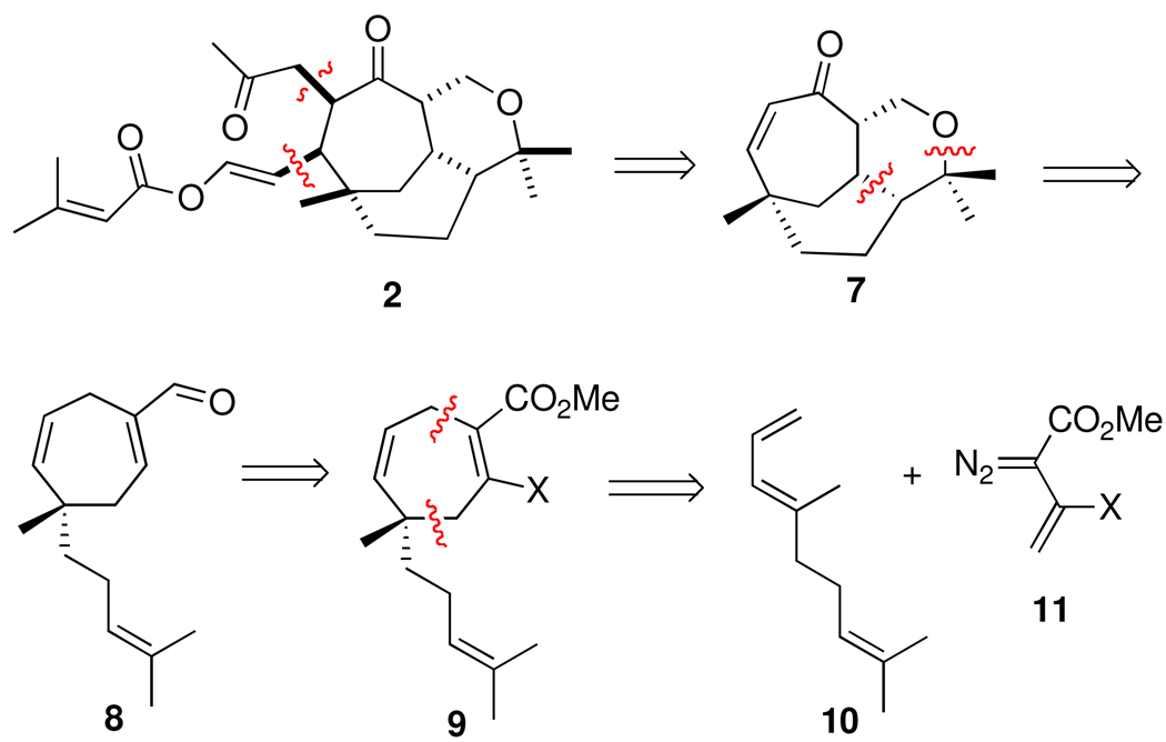 Scheme 2