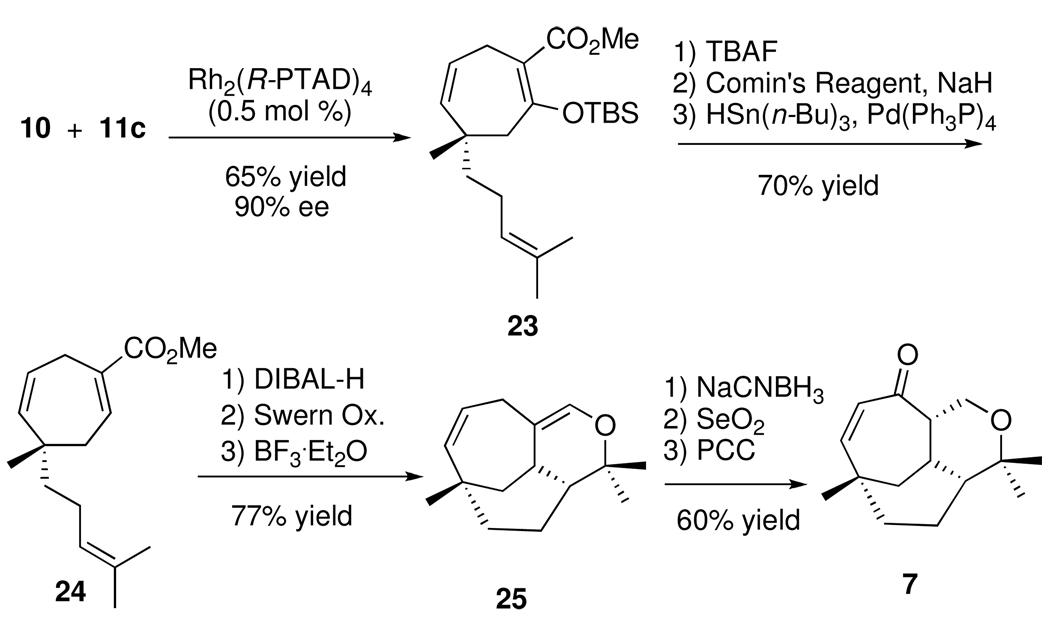 Scheme 4