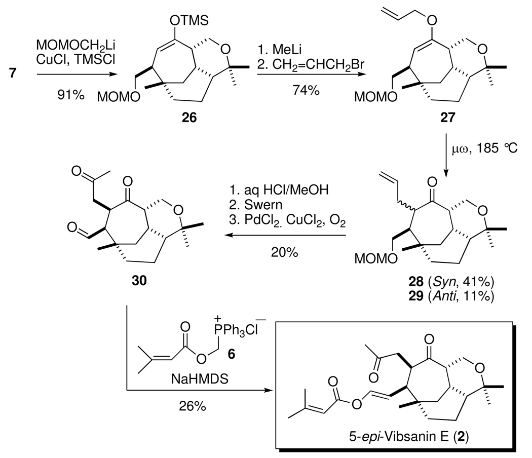 Scheme 5