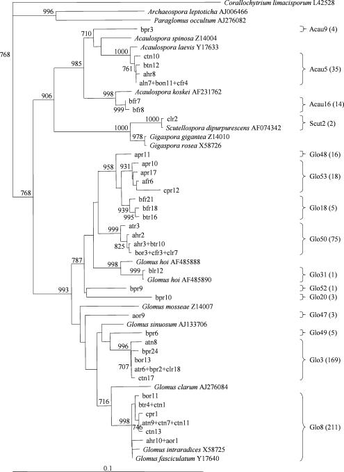 FIG. 1.