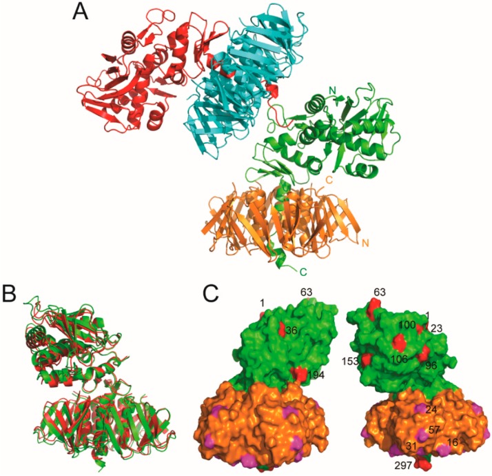 Figure 2