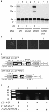 FIG. 4.