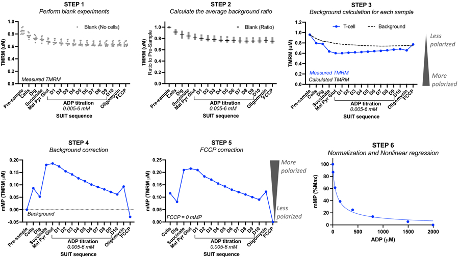 Figure 2: