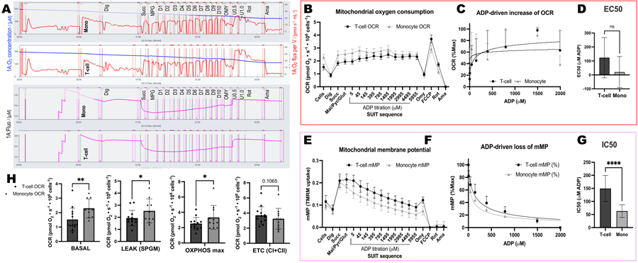 Figure 6: