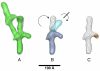 Fig. 3.