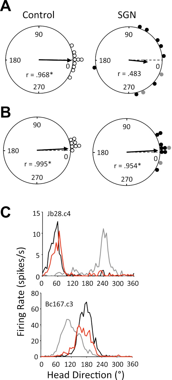 Fig. 12.