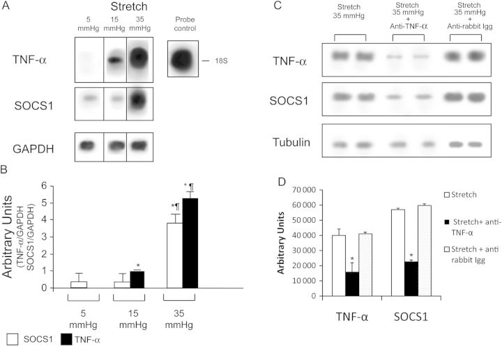 Figure 6