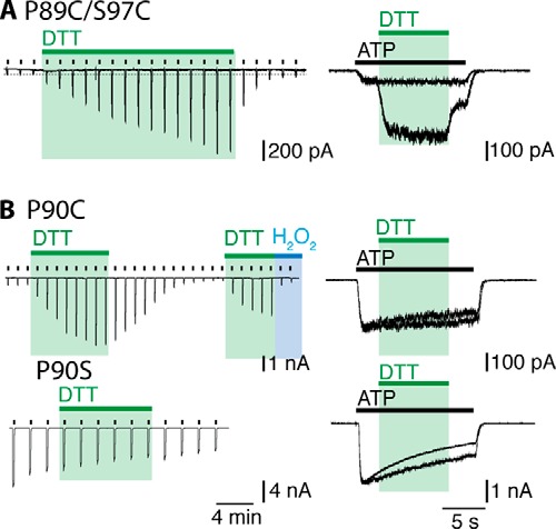 FIGURE 2.