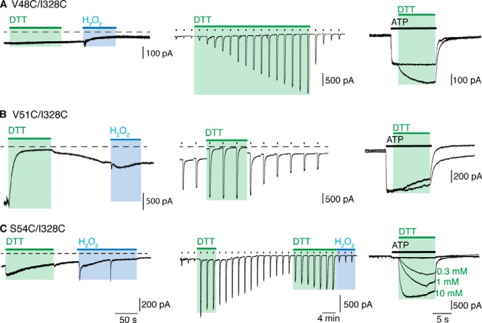 FIGURE 4.