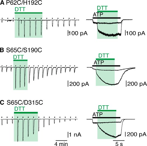 FIGURE 3.