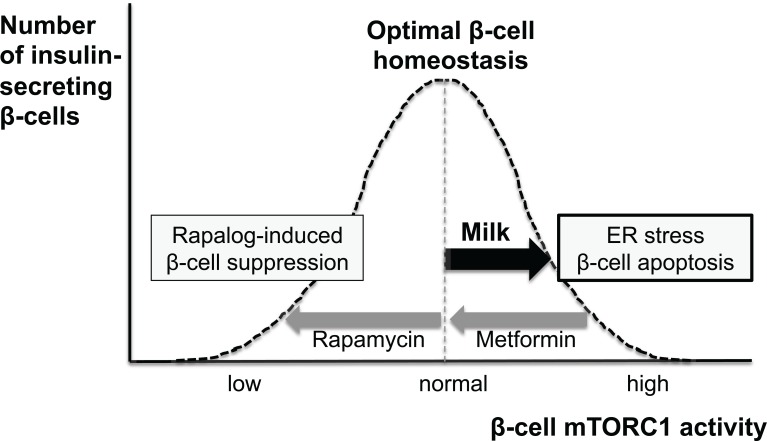 Fig. (3)