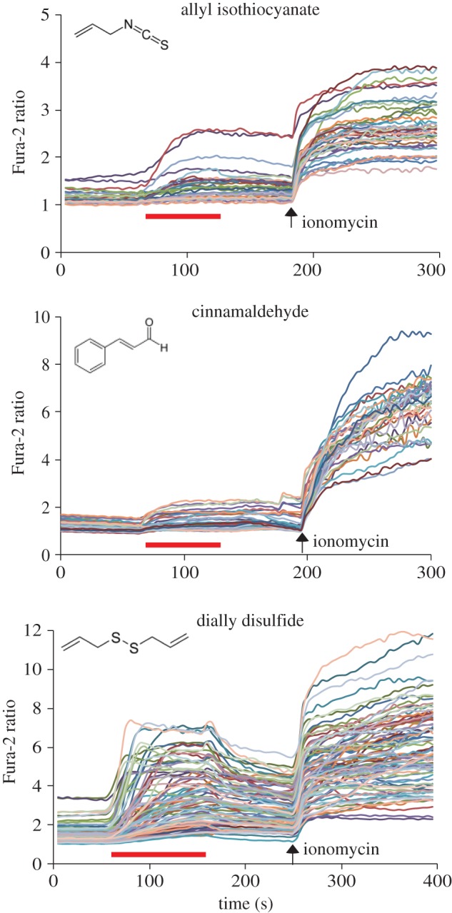 Figure 4.