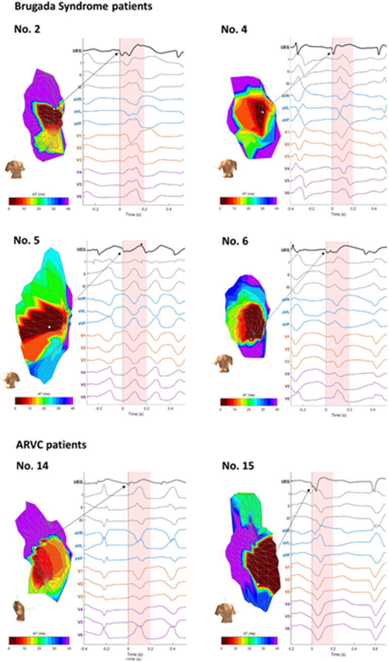 Supplementary Fig. 4