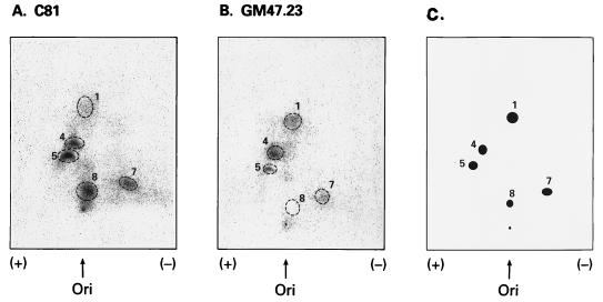 FIG. 3