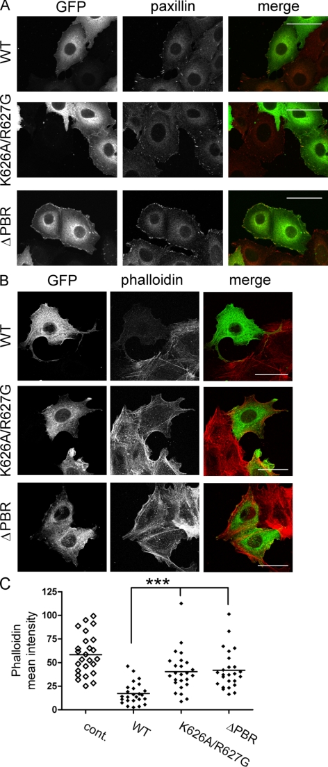 Figure 6.