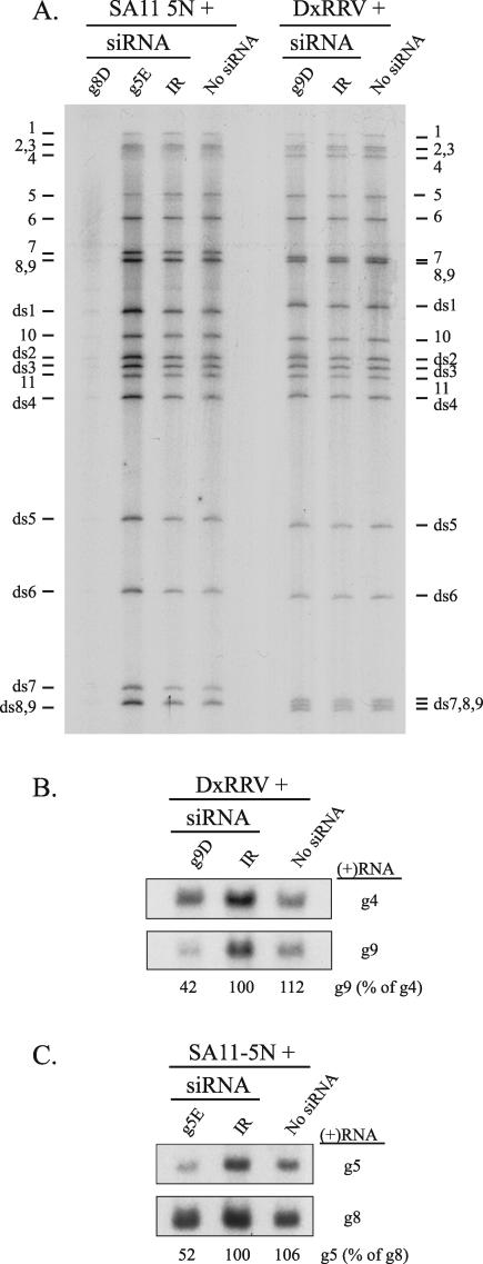 FIG. 4.