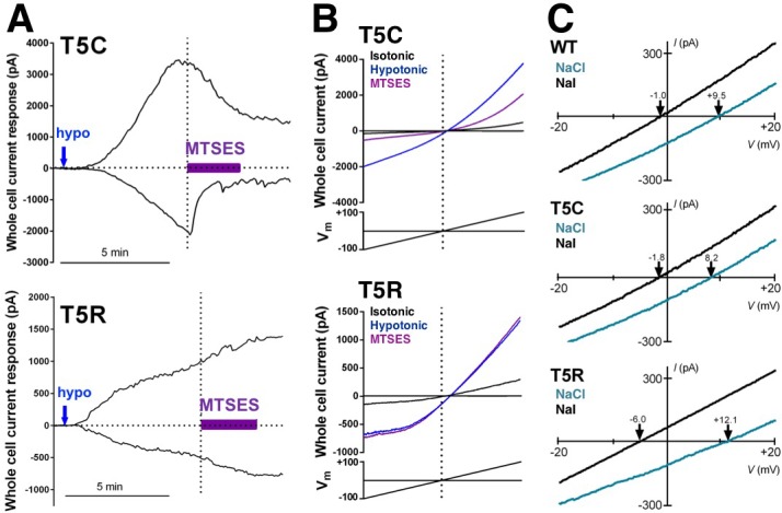 Figure 4—figure supplement 2.