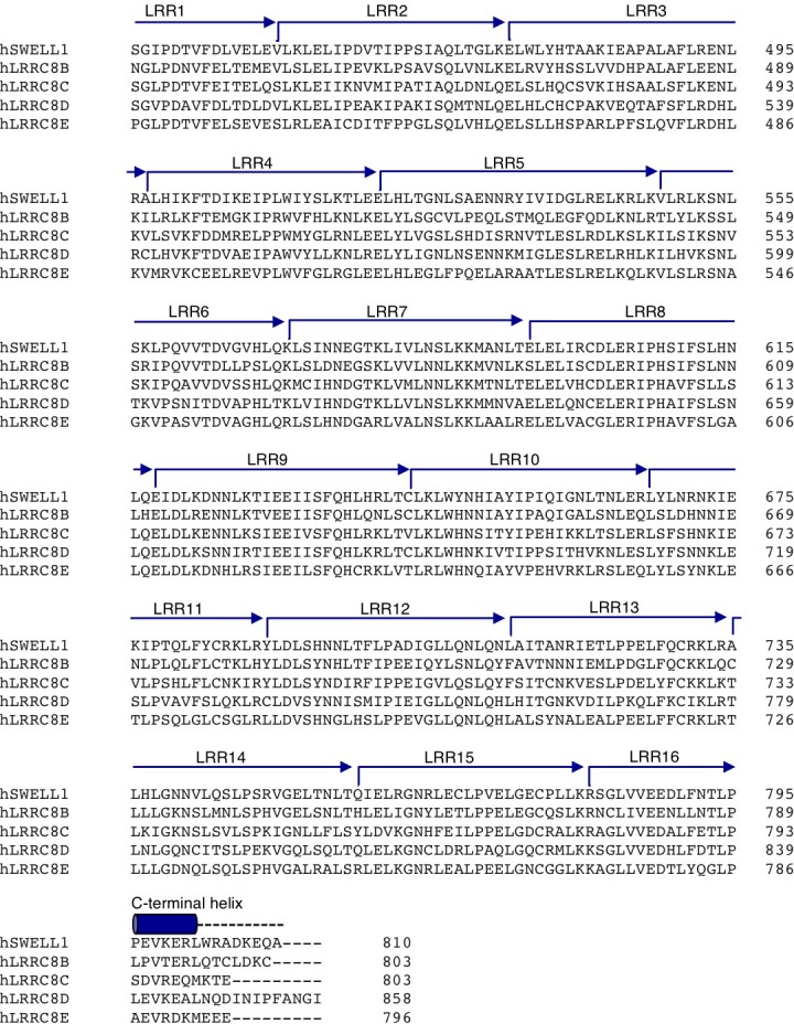 Figure 1—figure supplement 7.