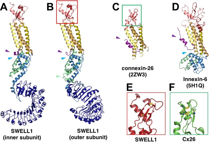 Figure 1—figure supplement 5.