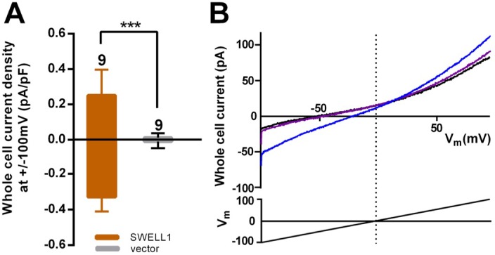 Figure 1—figure supplement 1.