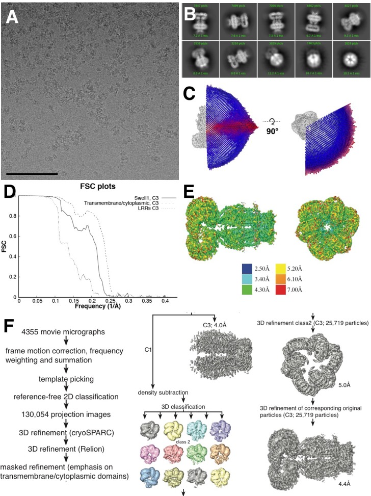 Figure 1—figure supplement 3.