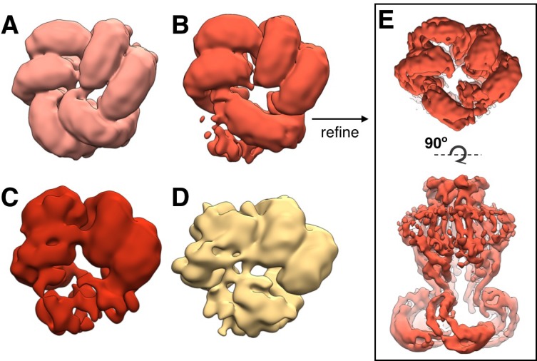 Figure 2—figure supplement 1.