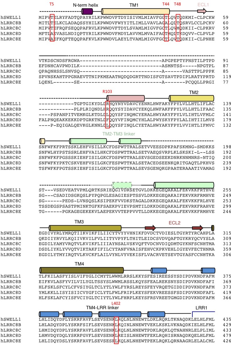 Figure 1—figure supplement 6.