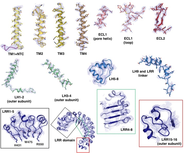 Figure 1—figure supplement 4.