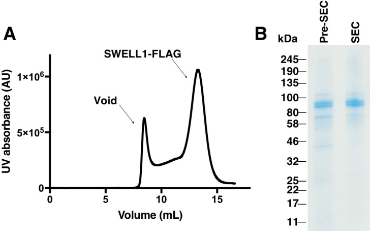 Figure 1—figure supplement 2.