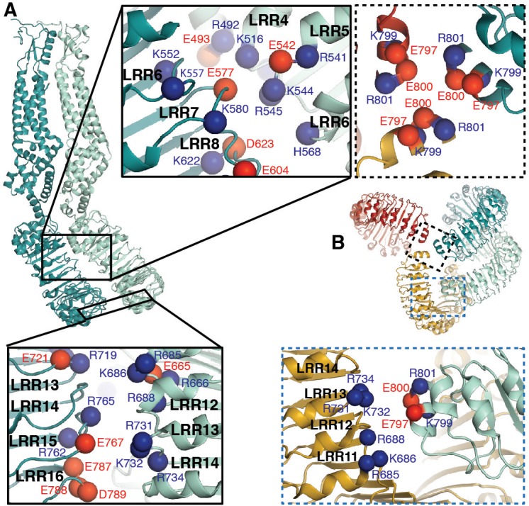 Figure 3.