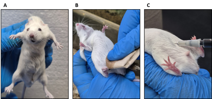 Figure 1.