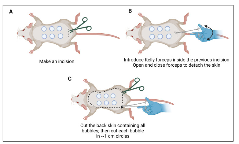 Figure 6.