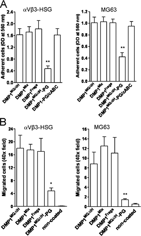 FIGURE 10.