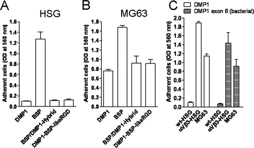 FIGURE 7.