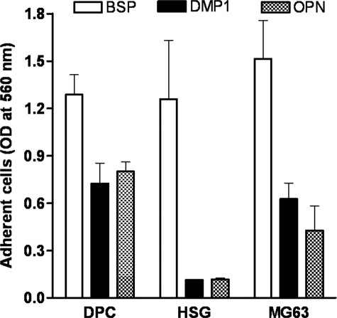 FIGURE 1.