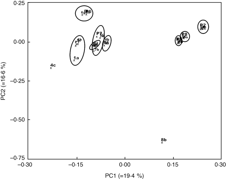 Fig. 6.