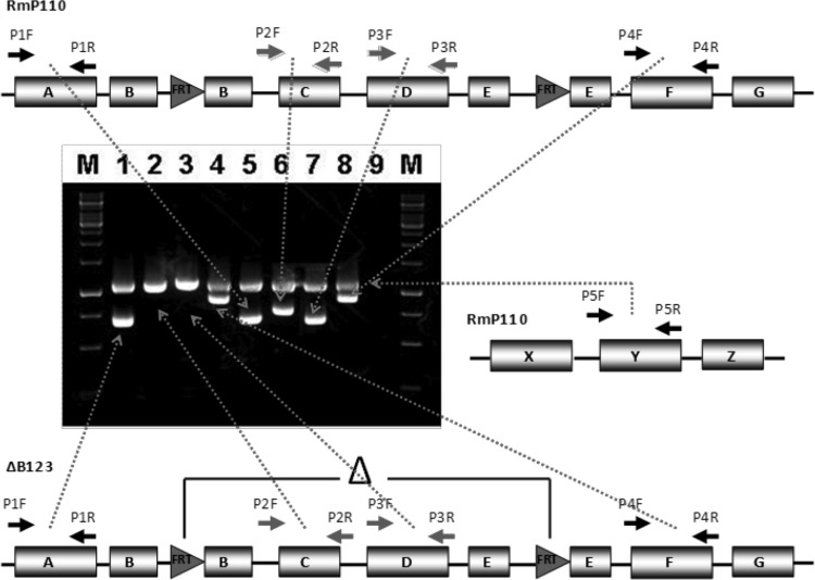 FIG 4