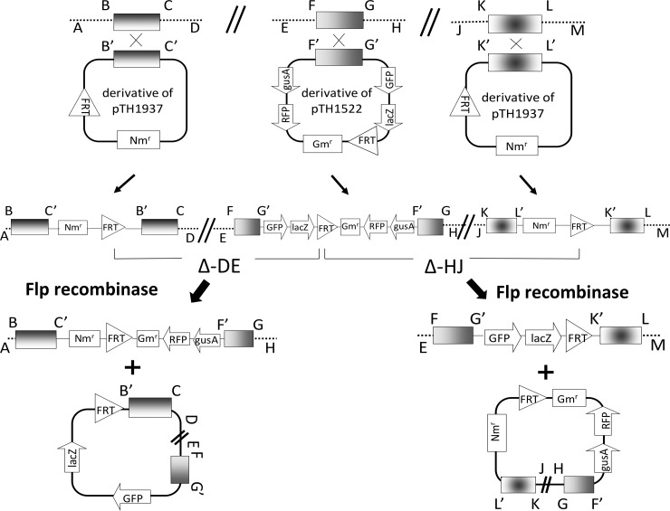 FIG 1