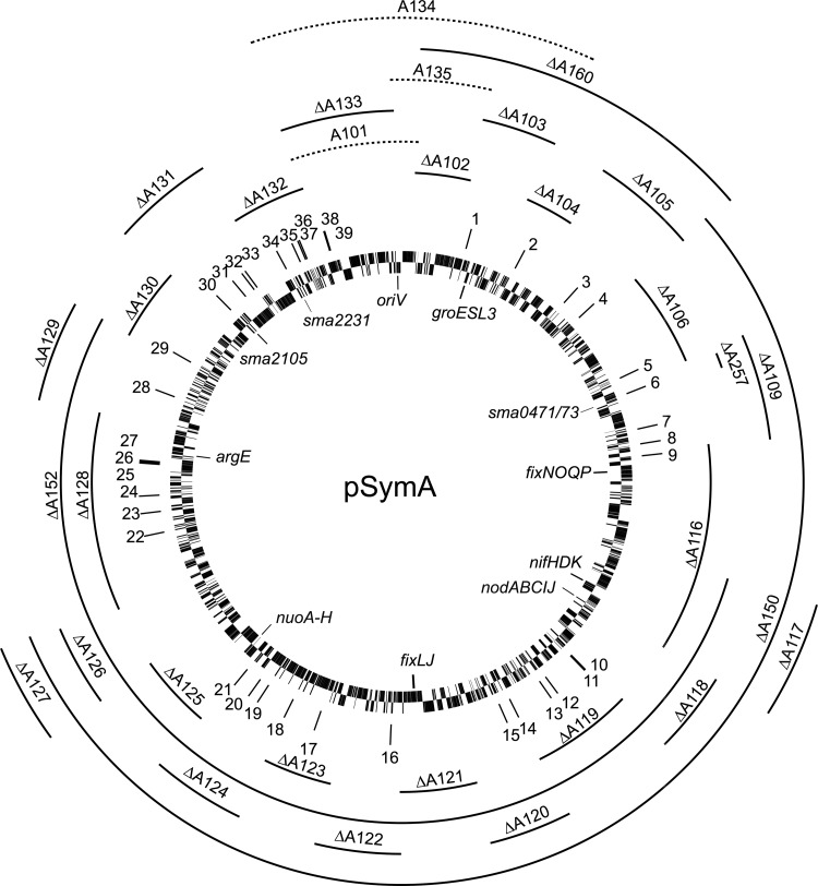 FIG 2