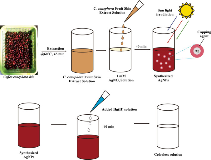 graphic file with name 44211_2022_237_Figa_HTML.jpg